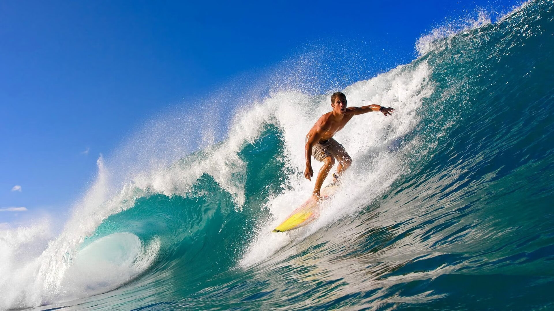 “南非羚羊队的宝贵资产：诺克·达维德·彼得森的非凡天赋”